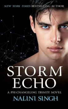 Storm Echo Storm Echo