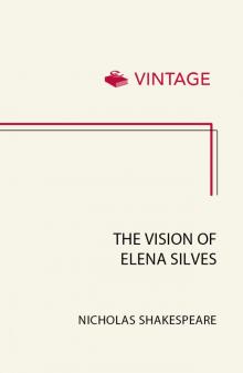 The Vision of Elena Silves