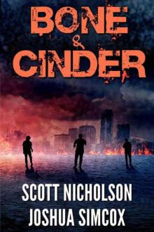 Bone And Cinder: A Post-Apocalyptic Thriller (Zapheads Book 1)