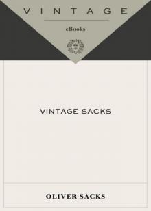 Vintage Sacks