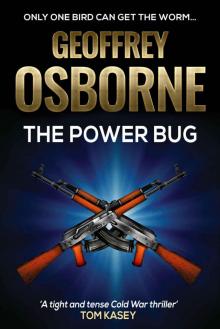 The Power Bug