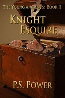 Knight Esquire ya-2 Knight Esquire ya-2