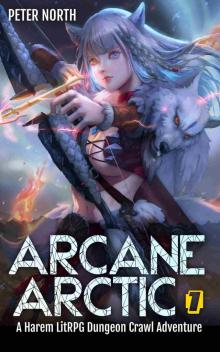Arcane Arctic: A Harem LitRPG Dungeon Crawl Adventure
