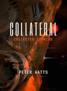 Collateral: Collected Stories