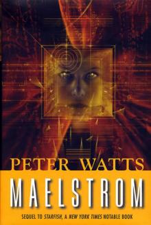Maelstrom r-2