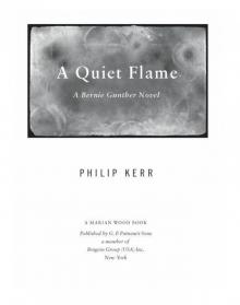 A Quiet Flame