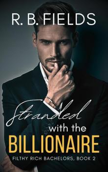 Stranded with the Billionaire