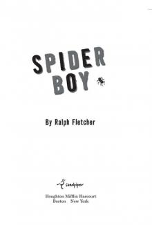 Spider Boy Spider Boy