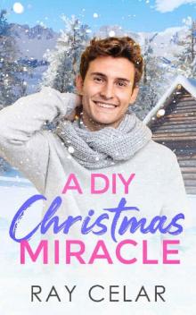 A DIY Christmas Miracle