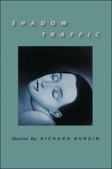 Shadow Traffic Shadow Traffic