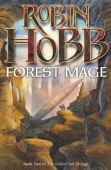 Forest Mage ss-2