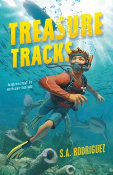 Treasure Tracks Treasure Tracks