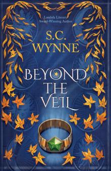 Beyond the Veil Beyond the Veil