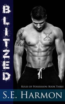 Blitzed (Rules of Possession Book 3)
