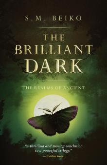 The Brilliant Dark The Brilliant Dark