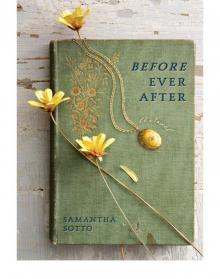 Before Ever After