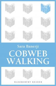 Cobweb Walking