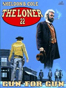 The Loner 22 The Loner 22