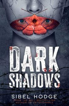 Dark Shadows Dark Shadows
