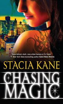 Chasing Magic Chasing Magic