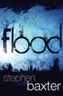 Flood f-1