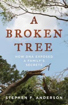 A Broken Tree A Broken Tree