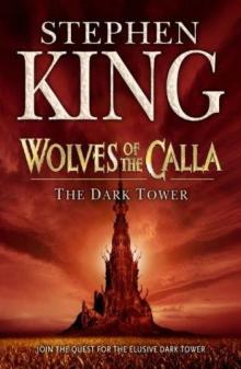 Wolves of the Calla dt-5