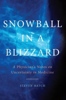 Snowball in a Blizzard Snowball in a Blizzard