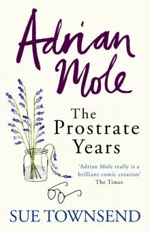 Adrian Mole: The Prostrate Years