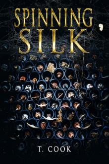 Spinning Silk Spinning Silk