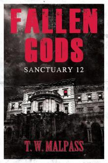 Sanctuary 12