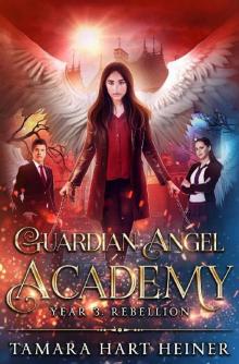 Year 3: Rebellion (Guardian Angel Academy)