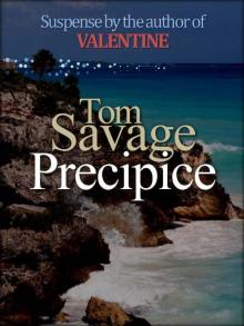 Precipice Precipice