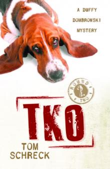 TKO ddm-2