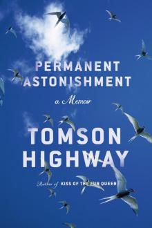 Permanent Astonishment