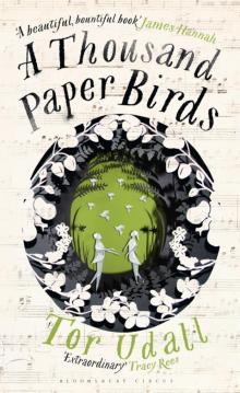 A Thousand Paper Birds A Thousand Paper Birds