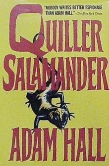 18 Salamander