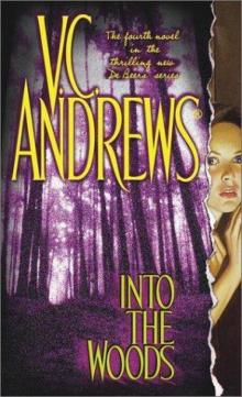 Into the Woods Into the Woods