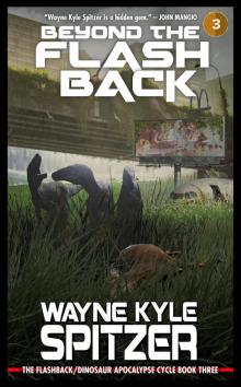 Beyond the Flashback Beyond the Flashback
