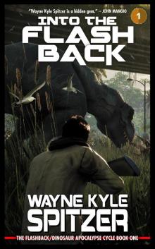 Into the Flashback