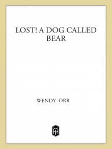 Lost! a Dog Called Bear