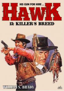 Hawk 13