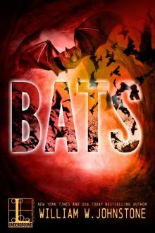 Bats Bats