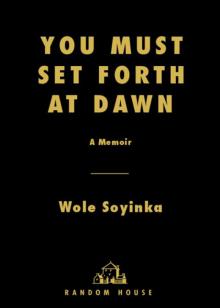 You Must Set Forth at Dawn